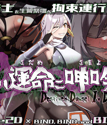 【動画・アニメーション】姫ハ運命ニ呻吟ヘリ Destined Damsel In Distress❤エーギグ・エーレ・ファウンデーション｜評価3.00